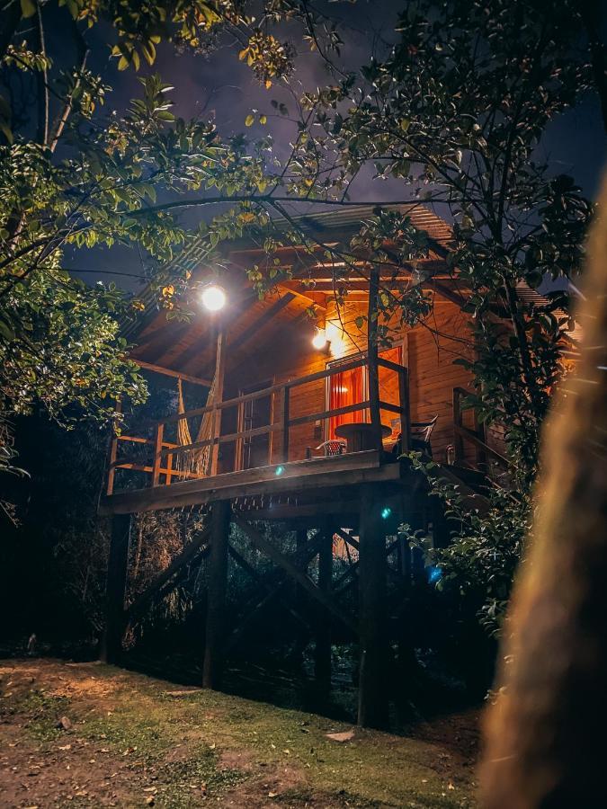 Hotel Complejogovinda Tigre Zewnętrze zdjęcie